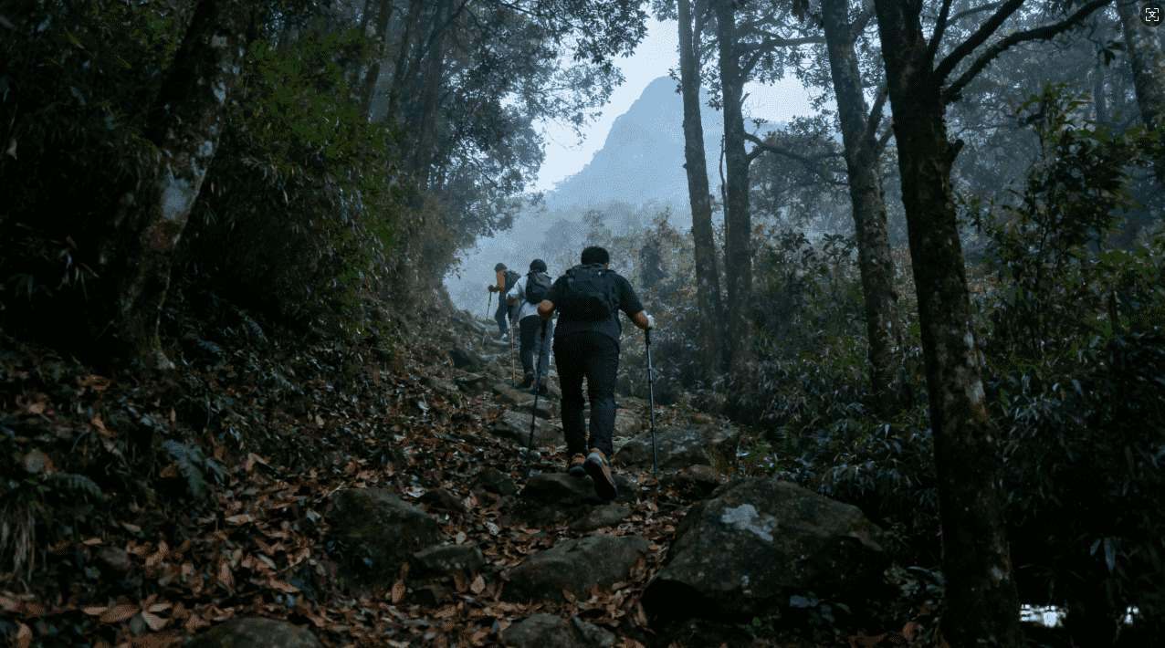 轻蜂加速器在Instagram上的实用技巧分享
